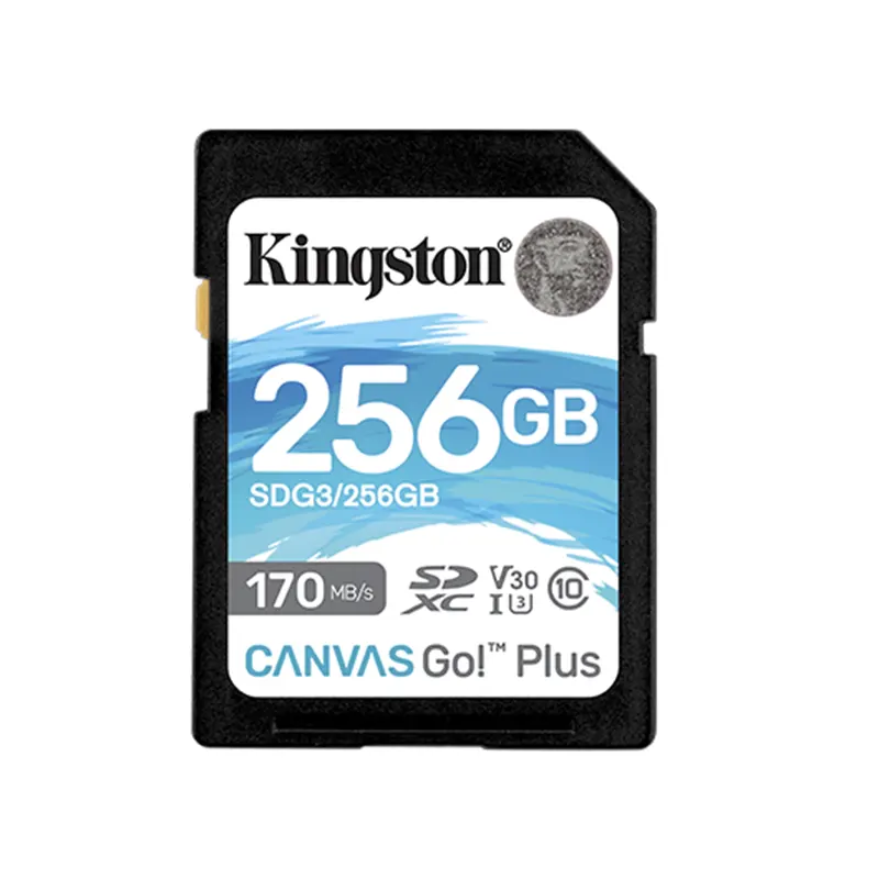 MEMORIA SD KINGSTON 256GB CANVAS GO PLUS U3 V30 C10 SDG3/256GB 