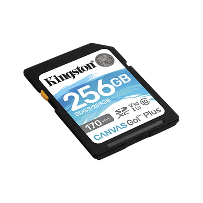 MEMORIA SD KINGSTON 256GB CANVAS GO PLUS U3 V30 C10 SDG3/256GB 